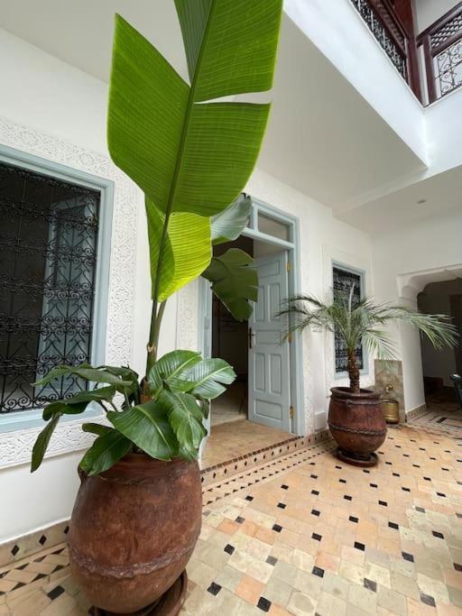 Riad Vivre - Design Boutique Riad In Marrakech Marakéš Exteriér fotografie