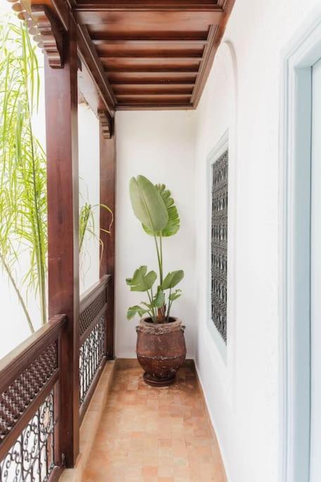 Riad Vivre - Design Boutique Riad In Marrakech Marakéš Exteriér fotografie
